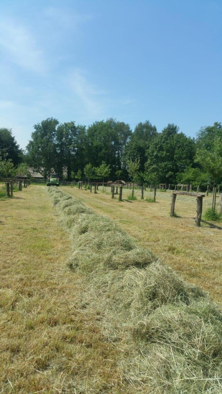 مبيت وإفطار Wijhe Landgoed Groot Boerle المظهر الخارجي الصورة